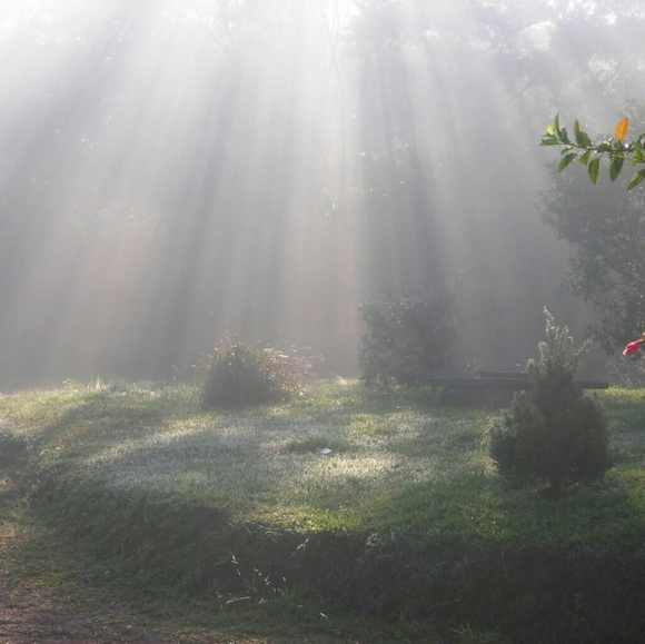 AUTUMN SALE + BUNDLE FOR SAVINGS - Picture 7 of 7